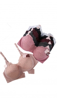 Soutien-gorge bonnet F couleurs