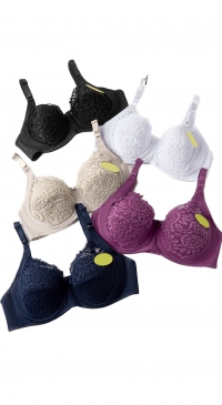 Soutien-gorge dentelle bonnet DD